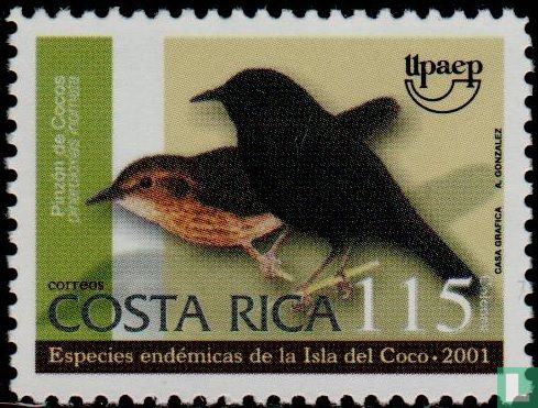 Birds of Coco Island