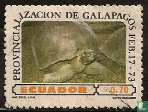 Galapagos-Riesenschildkröten