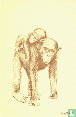 Chimpansee moeder met jong - Afbeelding 1