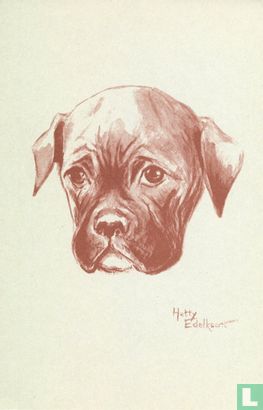 Jonge hond - Afbeelding 1