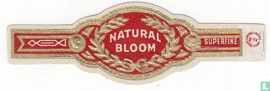 Amende de Bloom-Super naturel - Image 1
