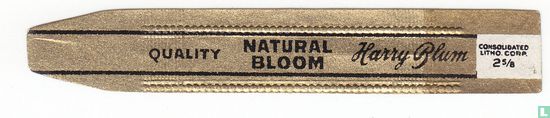 Natural Bloom - Quality - Harry Blum - Afbeelding 1