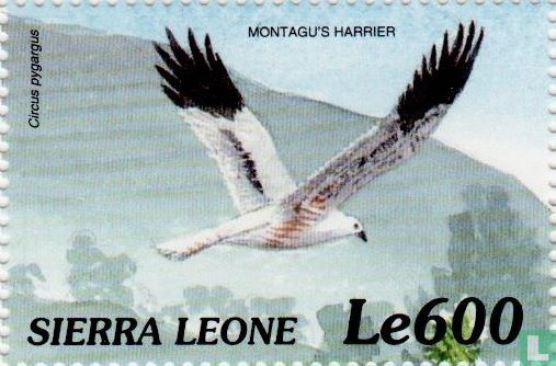 Vogels van Afrika
