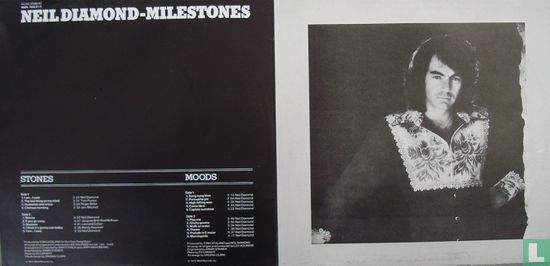 Milestones - Afbeelding 3