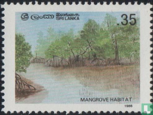 Conservation des Mangroves