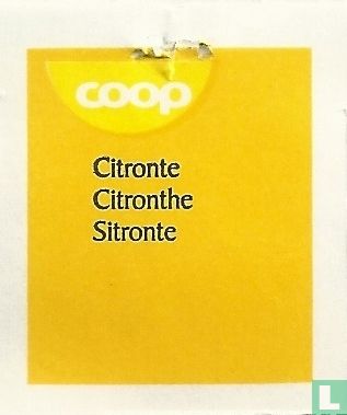 Citronte - Image 3