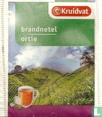 brandnetel - Image 1