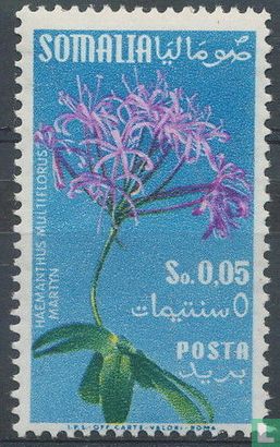 Flore