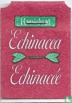 Echinacea - Bild 3