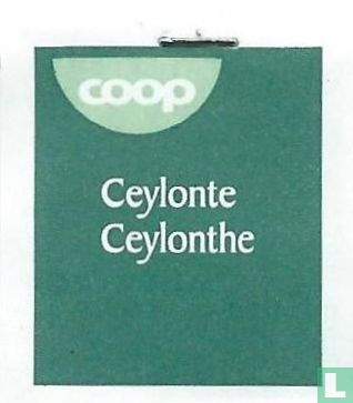 Ceylonte  - Image 3