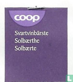 Svartvinbärste - Image 3