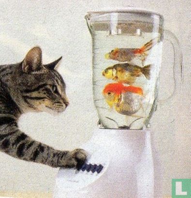Kat met vissen