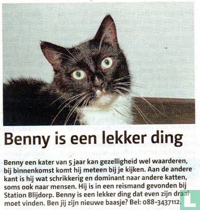 Benny is een lekker ding