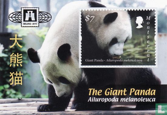 Pandas géants