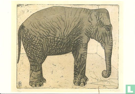 A 8491 Olifant (ets) - Afbeelding 1