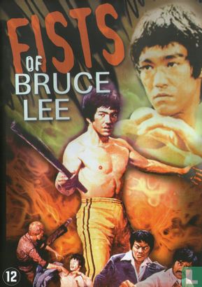 Fists of Bruce Lee - Afbeelding 1