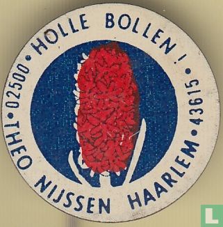 Holle bollen! Theo Nijssen - Haarlem 02500 43615 (hyacint) [rood-blauw-blauw] - Afbeelding 1
