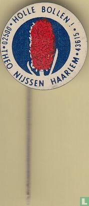 Holle bollen! Theo Nijssen - Haarlem 02500 43615 (hyacint) [rood-blauw-blauw] - Afbeelding 2