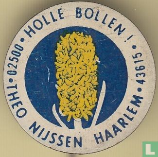 Holle bollen! Theo Nijssen - Haarlem 02500 43615 (hyacinth) [yellow-blue-blue] - Image 1