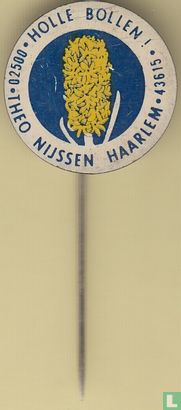 Holle bollen! Theo Nijssen - Haarlem 02500 43615 (hyacint) [geel-blauw-blauw] - Afbeelding 2