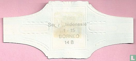 Borneo - Bild 2