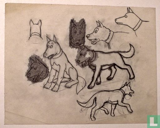 Kuifje en het Haaienmeer - Hond - originele schetsen - Bob de Moor - Afbeelding 1