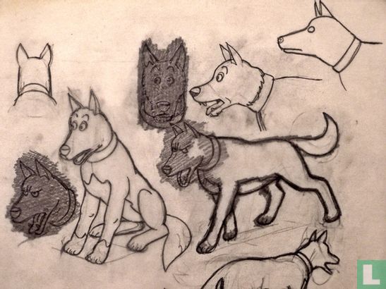 Kuifje en het Haaienmeer - Hond - originele schetsen - Bob de Moor - Image 2