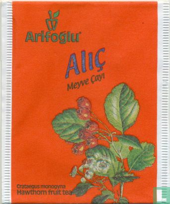 Alic - Image 1