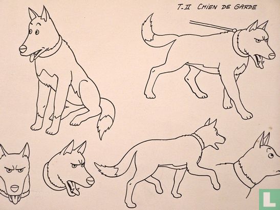 Kuifje en het Haaienmeer - Hond - tekening - Bob de Moor - Image 3
