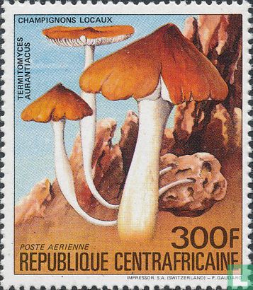 Inheemse paddenstoelen