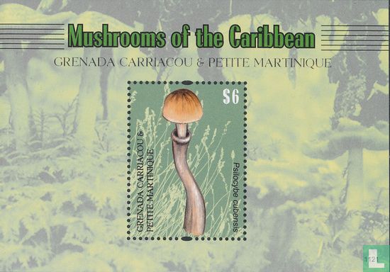 Champignons des Caraïbes