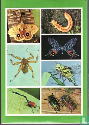 Encyclopédie Illustré des Insectes - Afbeelding 2