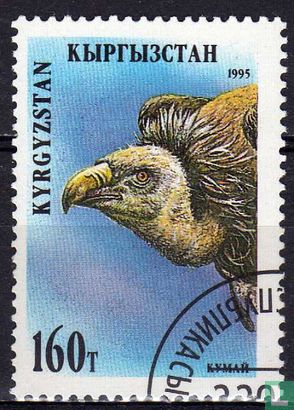 Native fauna