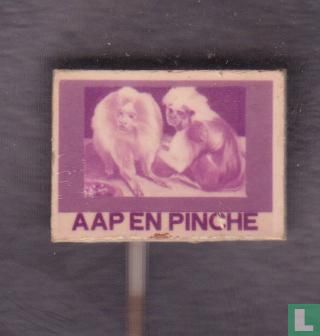 Aap en Pinche