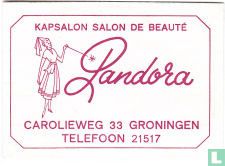 Kapsalon Salon De Beauté Pandora