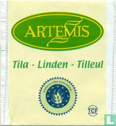 Tila - Linden - Tilleul - Afbeelding 1