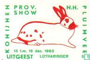 konijn: Lotharinger