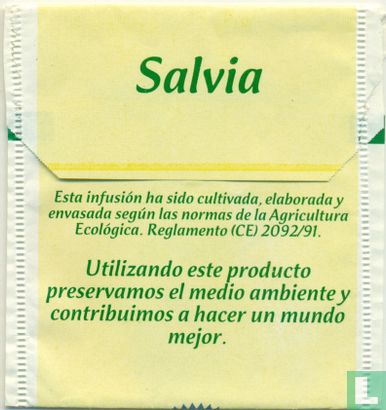Salvia - Bild 2