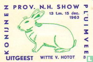 konijn: Witte v. Hotot