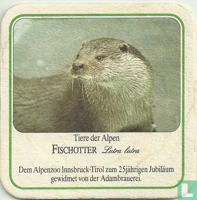 Tiere der Alpen - Fischotter - Afbeelding 1