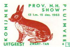 konijn: Zwart-Tan