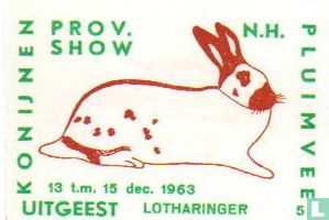 konijn: Lotharinger