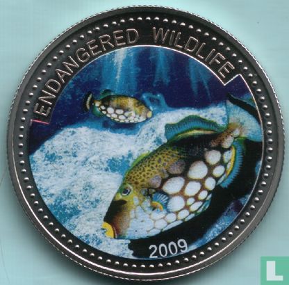 Palau 1 dollar 2009 (PROOF) "Clown triggerfish" - Image 1
