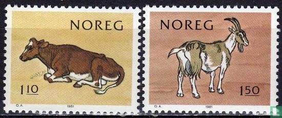 100 Jahre norwegische Milch-Produzenten