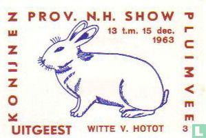 konijn: Witte v. Hotot