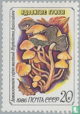 Poisonous mushrooms 