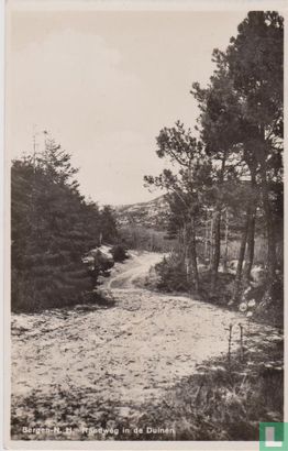 Bergen-N. H. Randweg in de Duinen - Bild 1