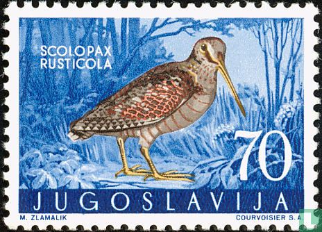 Yougoslave faune-oiseaux
