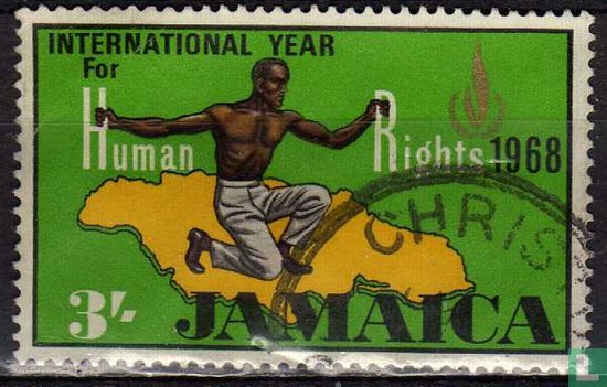 International year of human rights