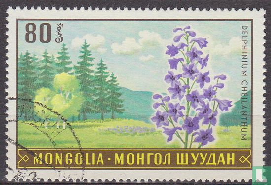 Mongoolse flora